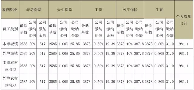 公司缴纳部分.jpg